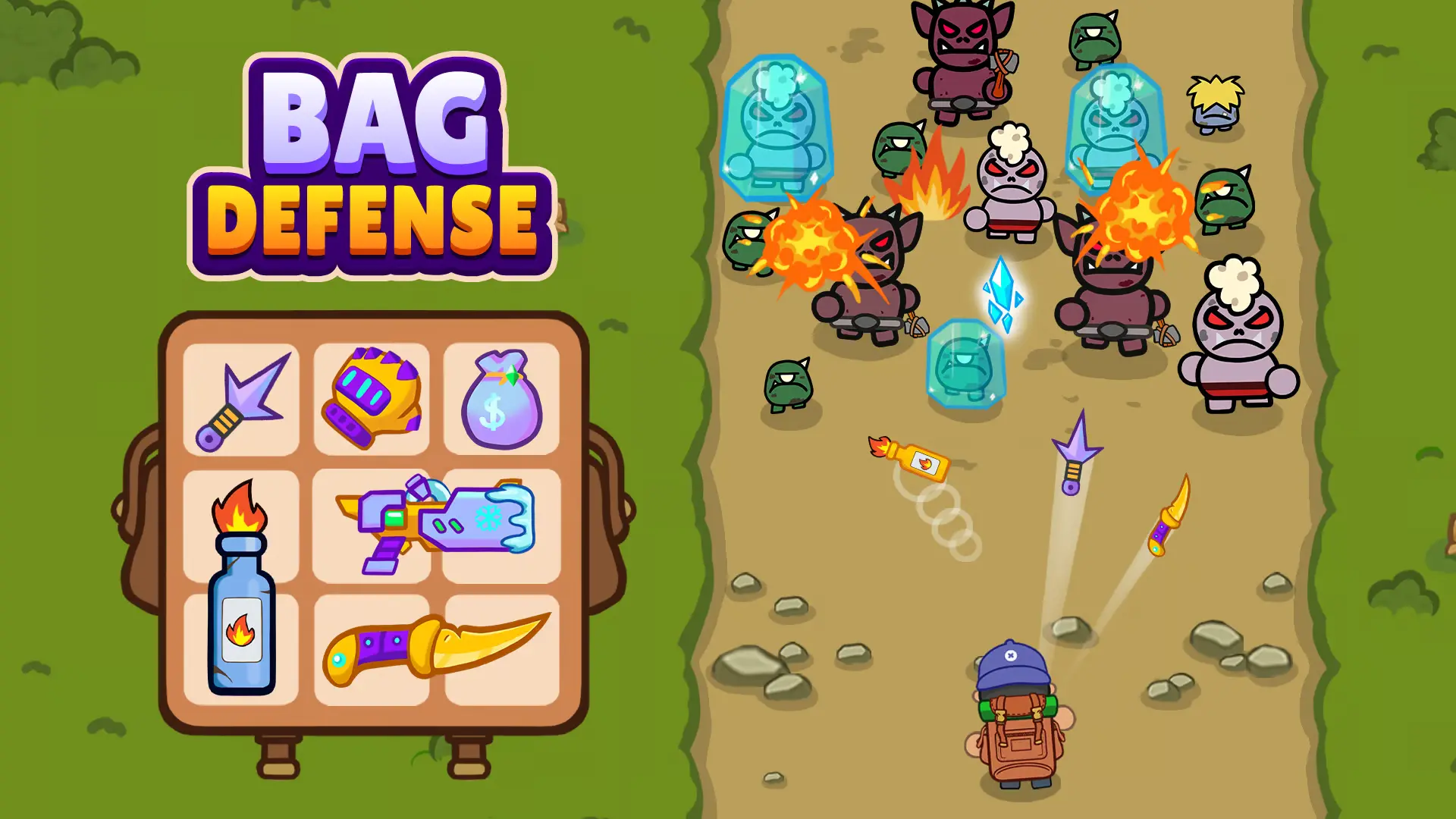 Bag Defense Bag Defense